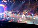Show Time At The Circus
