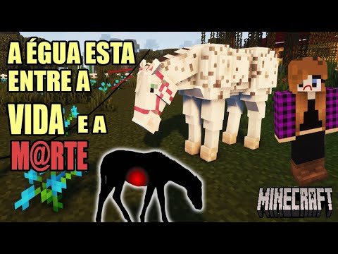 MY MARE HAS COLIC!  - minecraft roleplay - part 68