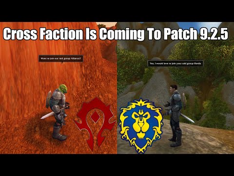 Cross Faction Grouping FINALLY COMING To Patch 9.2.5 on the PTR