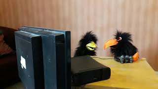 Children's Service Sunday 1st November