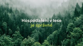 Hospodaření v lese je správné