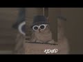 Eu Ja Sofri Por Amor Mas Nao Sofro Mais Slowed Reverb