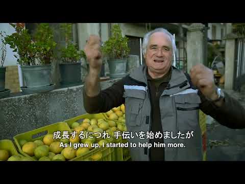 Santalum austrocaledonicumについて詳しく解説