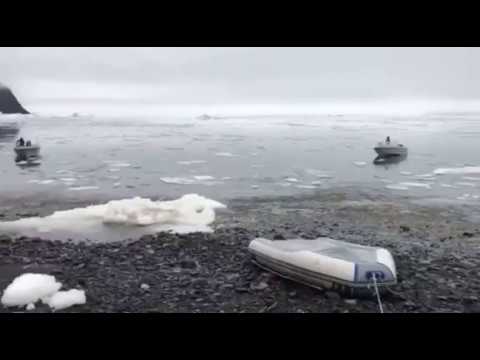 Video Captures Moment When Tsunami Hits Greenland's West Coast