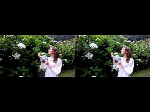 Acer SpatialLabs Eyes SBS Demo Reveal