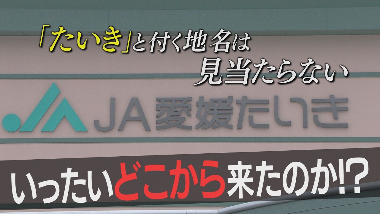 【意外な事実】JA愛媛たいきの「たいき」って何？地元民も知らない驚きの由来を徹底調査！