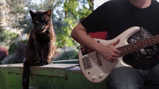 Primus - Tommy the Cat (Live) (Bass Lesson)