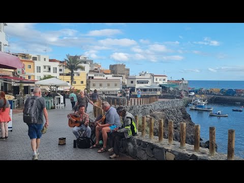 TENERIFE Tonight 19/2/2023 - I Nearly DIED Here.....