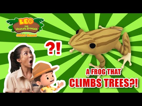 Witness21  2022 11 12