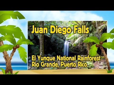 Juan Diego Falls, El Yunque National Rainforest - Puerto Rico