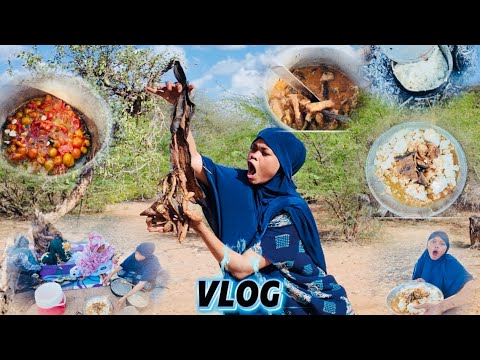 ASC MANTA IYO VLOG WELCOME THANK YOU🤤😱