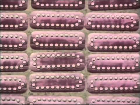 Women's Movement USA - 1950s-60s