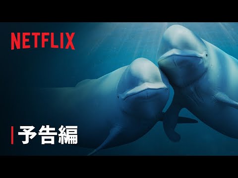 予告編（字幕）