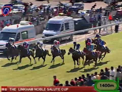 The Linkham Noble Salute Cup | Tandragee | N.Callow