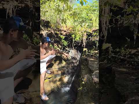 as beleza de sucupira do Riachão Maranhão Brasil 🇧🇷