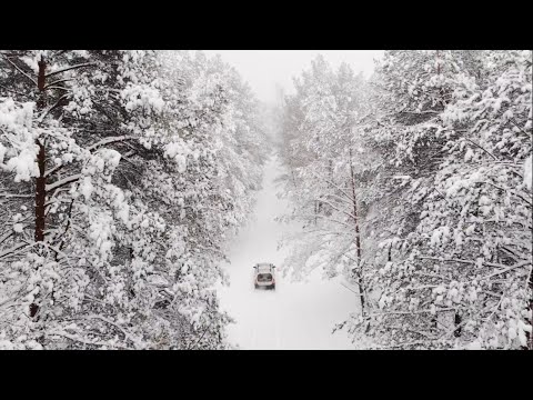 Snowfall, Relax music, Footage, landscapes, snow, ULTRAHD / 4K, Релакс музыка, пейзажи, снегопад