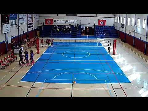 CV MANACOR BLAU AF3 - ALGAIDA VC