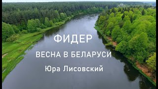 Ссылка