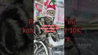 Download lagu Pake sound ini mp3 Download lagu Pake sound ini mp3