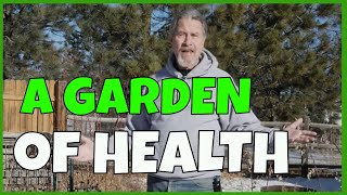 Start a Medicinal Herb Garden