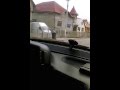 Закарпаття (село Діброва) 