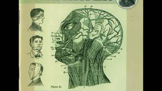 06 ◦ Firewater - Psychpharmacology   (Demo Length Version)