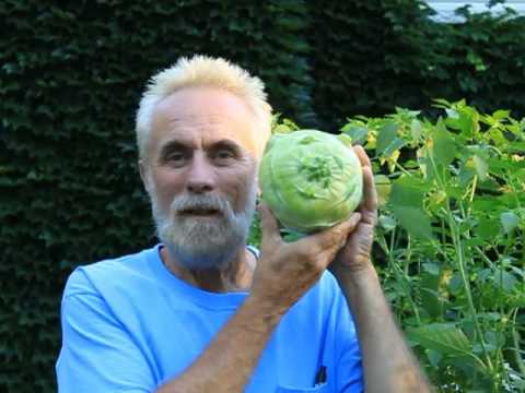 download lagu mp3 mp4 Kossak Kohlrabi, download lagu Kossak Kohlrabi gratis, unduh video klip Kossak Kohlrabi