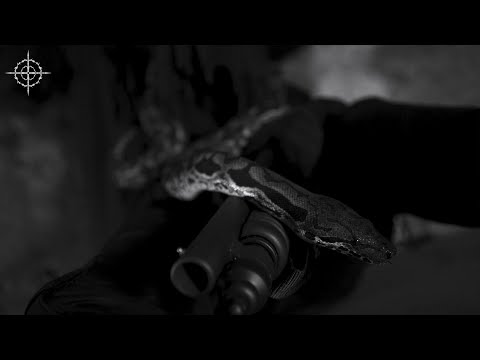 TWENTYTHREE - WRAITH (OFFICIAL VIDEO)