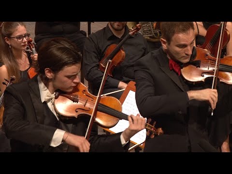 Stefan Milenkovich - Teofil Milenkovich - W.A.Mozart - Concertone KV 190 per due violini e orchestra