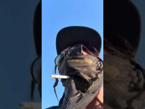 Your Mom is Real Fake