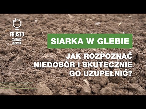 Siarka w glebie – jak rozpoznać niedobór i skutecznie go uzupełnić?