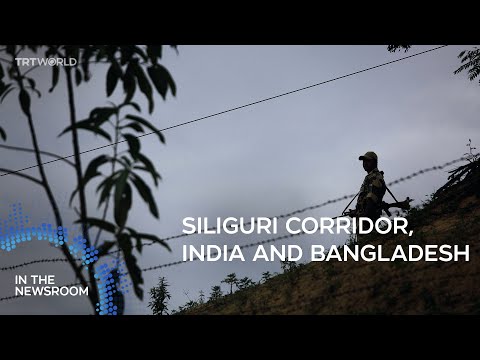 Why is India boosting troops on the Bangladesh border? | In the Newsroom