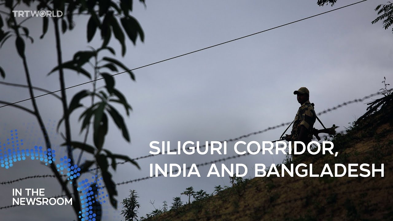 Why is India boosting troops on the Bangladesh border? | In the Newsroom