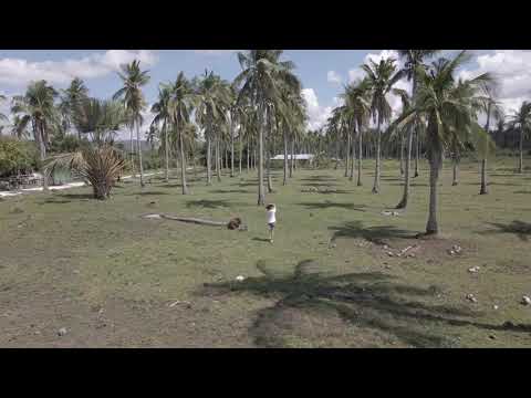 Brgy. Pagdamayan Highlights | San Narciso, Quezon Province