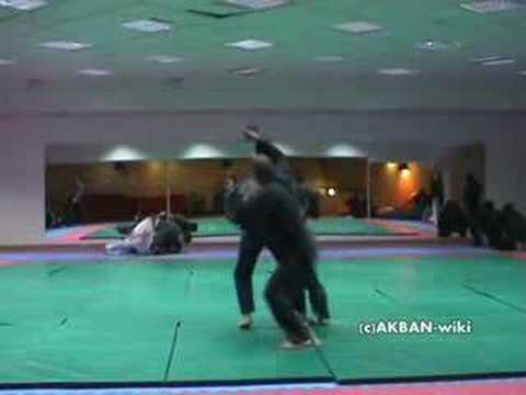 Compi no kata - koto ryu