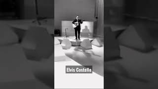 Elvis Costello - It's time (Canal +)