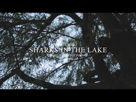 Wave MMLZ - SHARKS IN THE LAKE (Music Video)