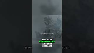 How Trees Secretly Communicate with Each Other