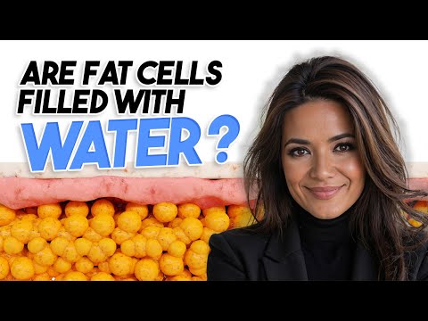 Do Fat Cells Really Fill Up with Water Before Shrinking │ The Science Behind the Whoosh Effect