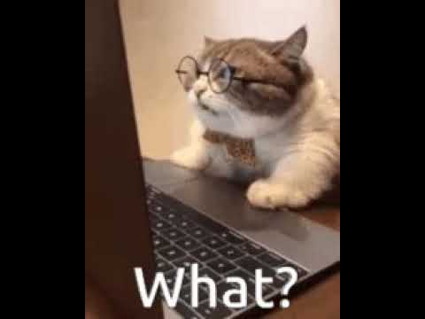 Work from home be like...