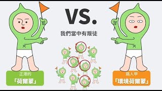 食衣住行環境荷爾蒙