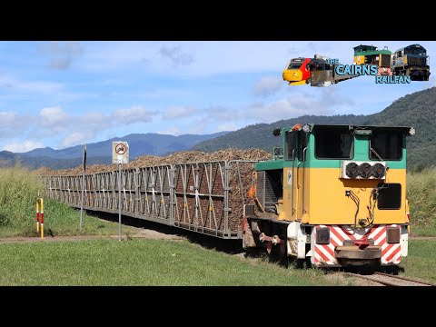 Shunting in the Redlynch Cane Fields | The Cairns Railfan