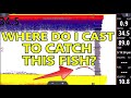 Sonar For Dummies Fish Finder Explained For BEGINNERS L6