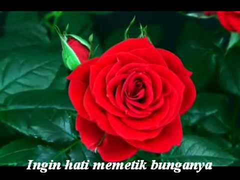 Bunga Mawar - Tetty Kadi