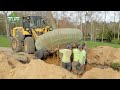 Tree Transplanting Services Cape Island Tree Service INC