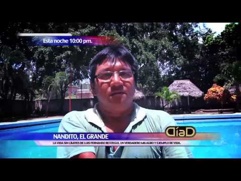 Titulares Día D 02/02/2014