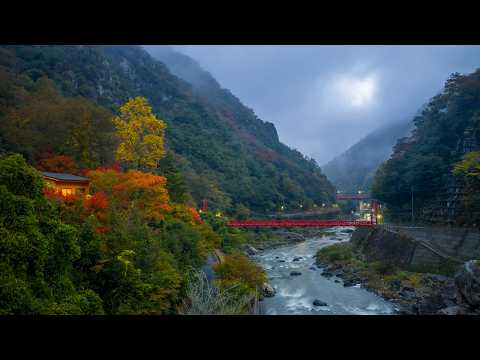 Early Autumn Riverside and Maple Trail Walk | Takedao, Japan