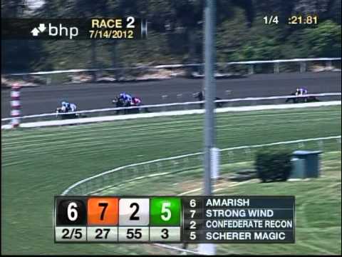 The 73rd Running of the Hollywood Juvenile Championship (GIII)