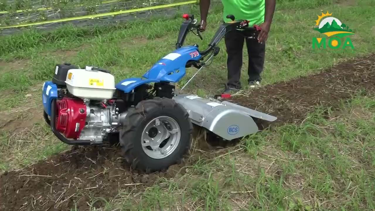 WUSC Field Day at Roots Farm 1