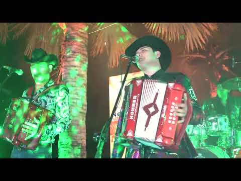 NUNCA TIRÉ LA TOALLA 🎵💯👍🏼 #musicaregional #musicaregionalmexicana #corridos #música